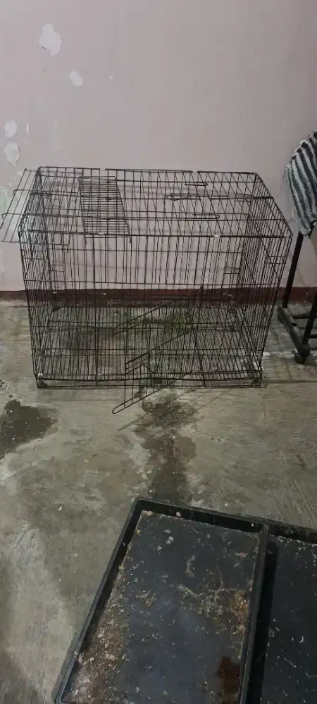 Dijual kandang kucing, kandang hewan