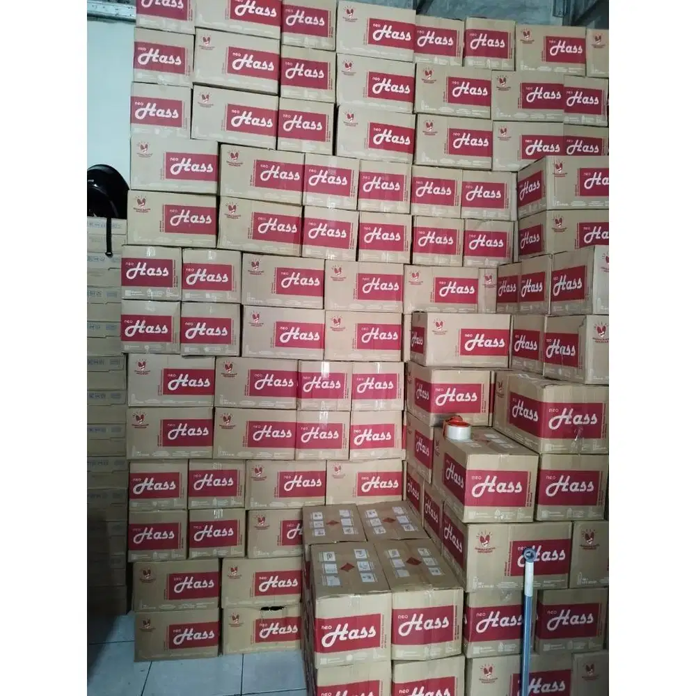 Tukang Angkat Air Dus Ampera Pademangan