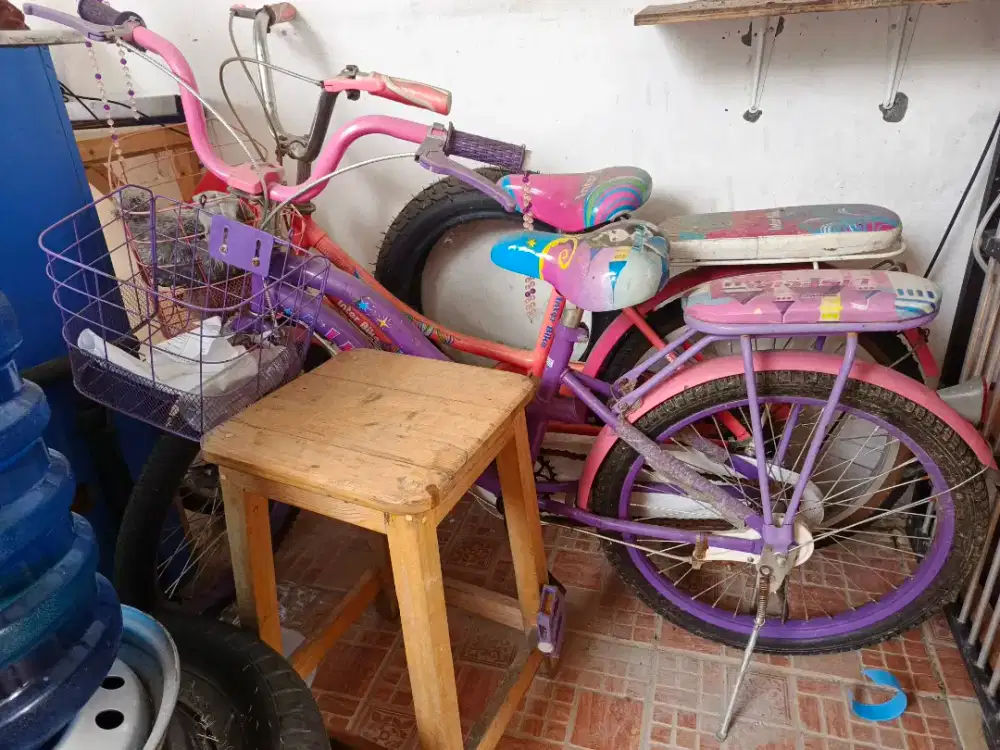 Sepeda anak 18 in