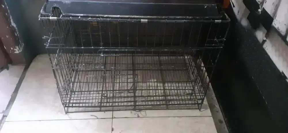 Kandang kucing ukuran 60×40