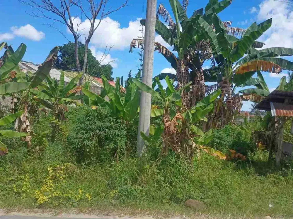 tanah 1740 meter di candimas natar