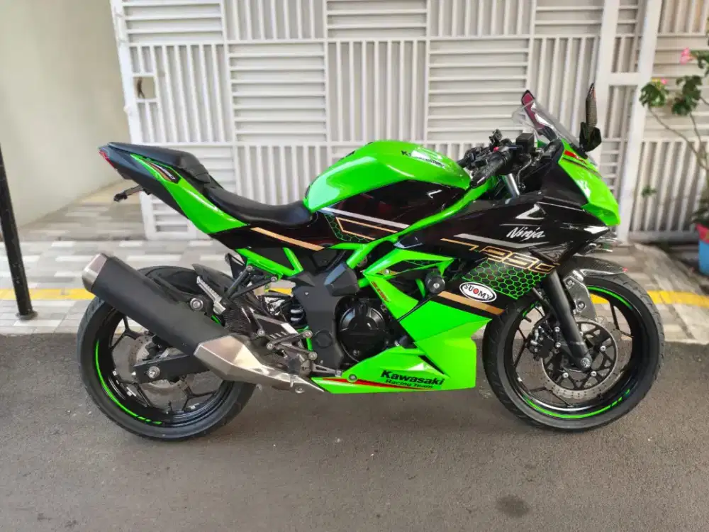 Kawasaki Ninja SL 250 Mono 2020 KM 904 Perak