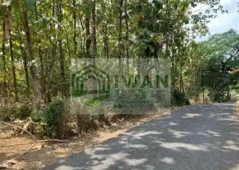 Tanah Pekarangan Dengan Muka 55m Hadap Jalan Lintas Desa