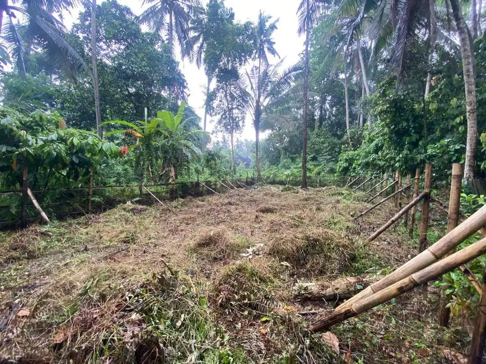 Di Jual Tanah murah Ubud di singakerta