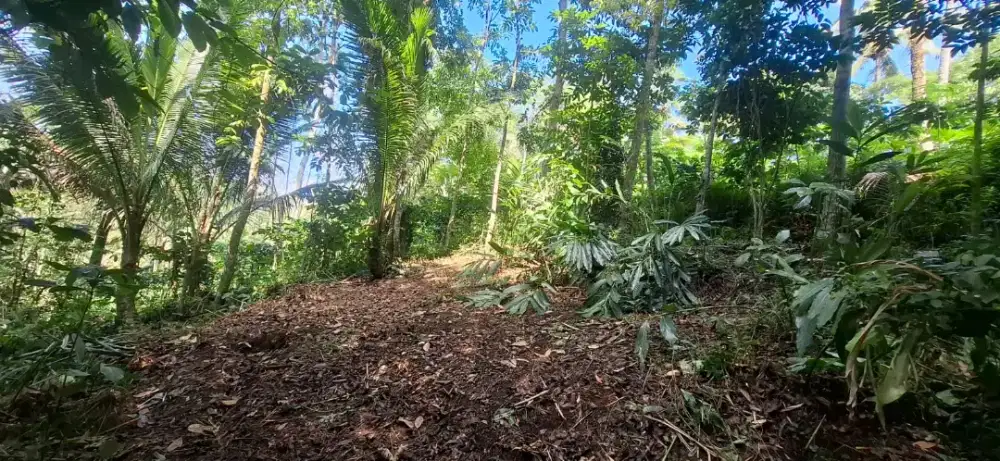 Tanah Dijual magelang