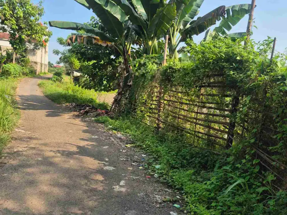 jual tanah nempel Perumahan serang city cocok buat cluster