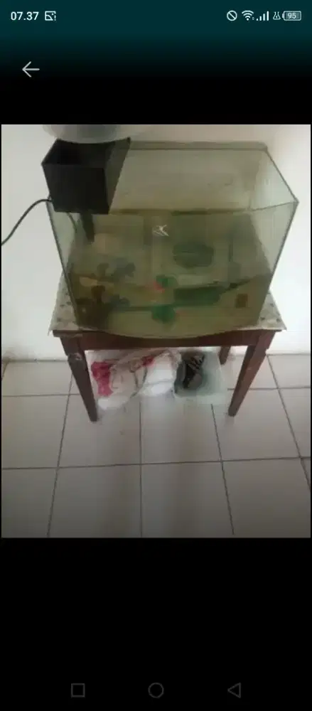 Aquarium filter meja spon take all