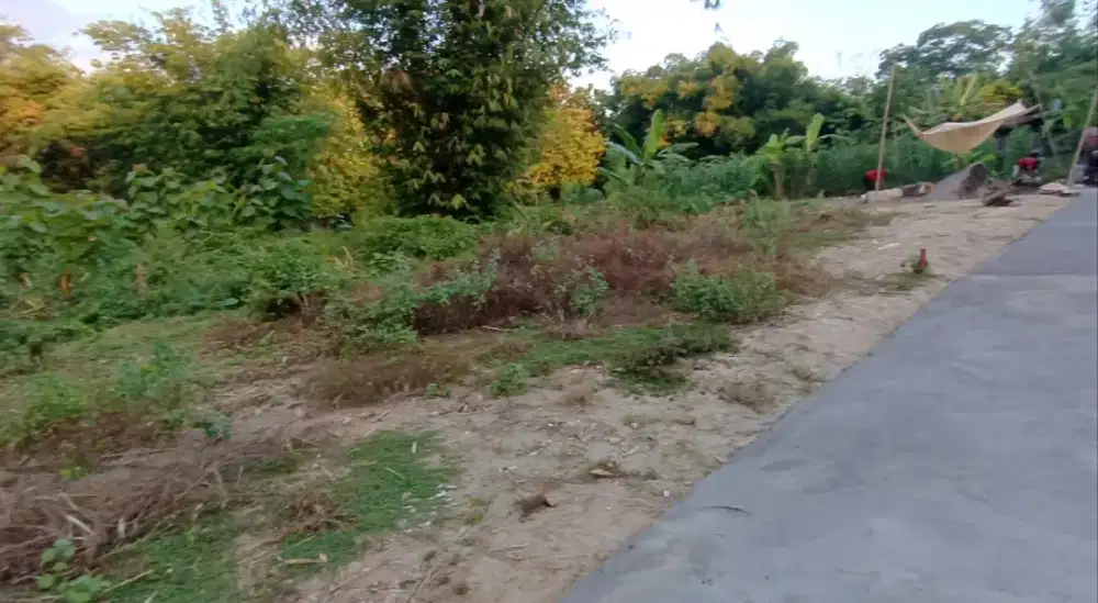Tanah 90 murah meriah