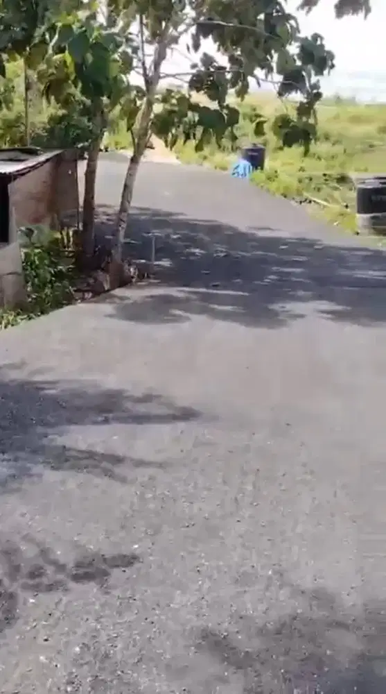 Tanah murah sdh jl hotmix cocok u kavling lokasi di Jl Dharwangsa Bali