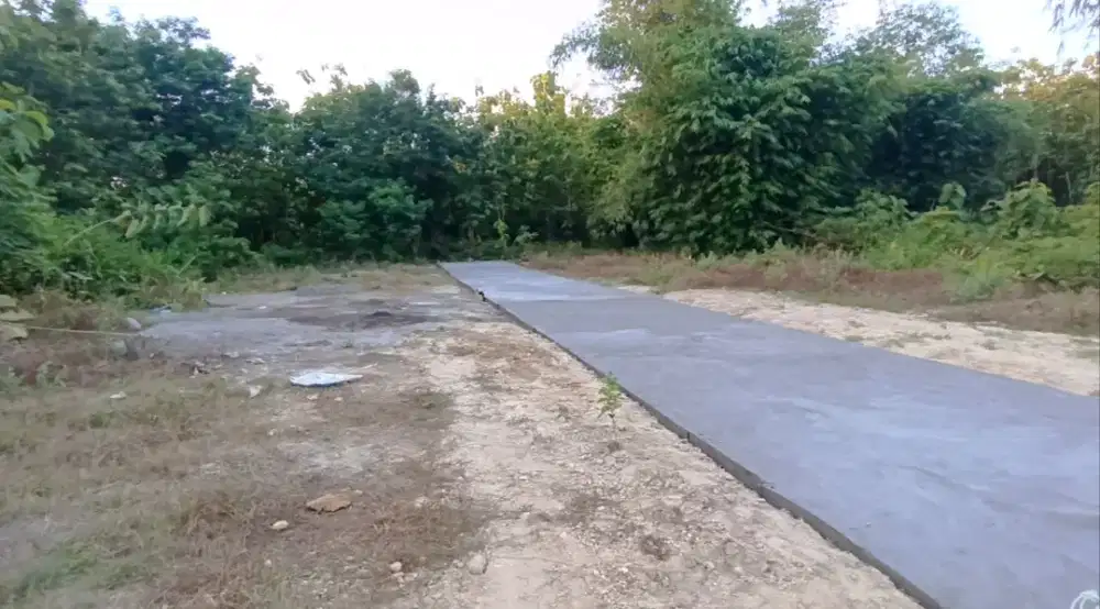 Tanah 100 murah promo!