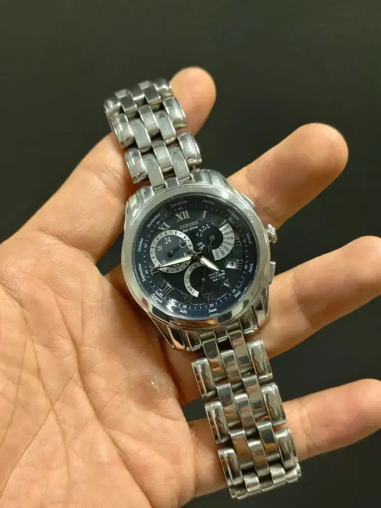 Jam Tangan Citizen E870 ecodrive
