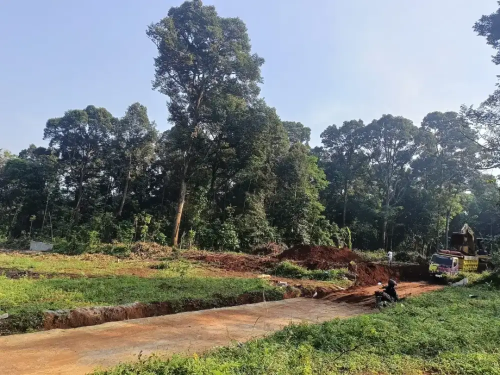 Tanah Dp 50 juta di gunung pati