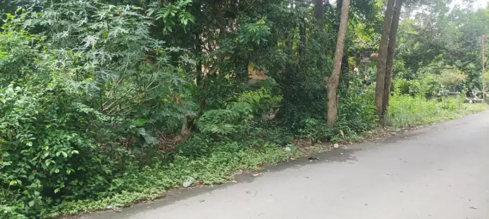 JUAL TANAH KAVLING