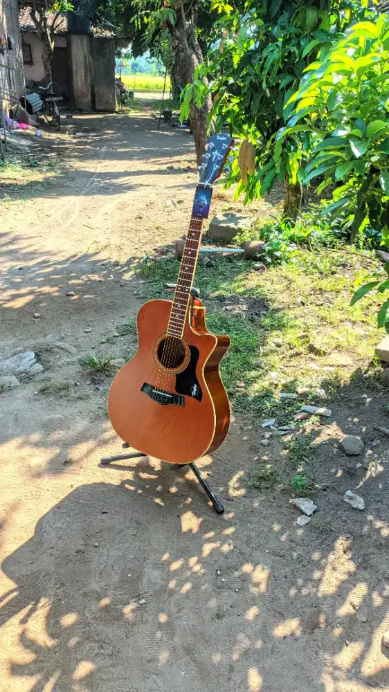 Gitar Akustik Taylor High Quality Baru