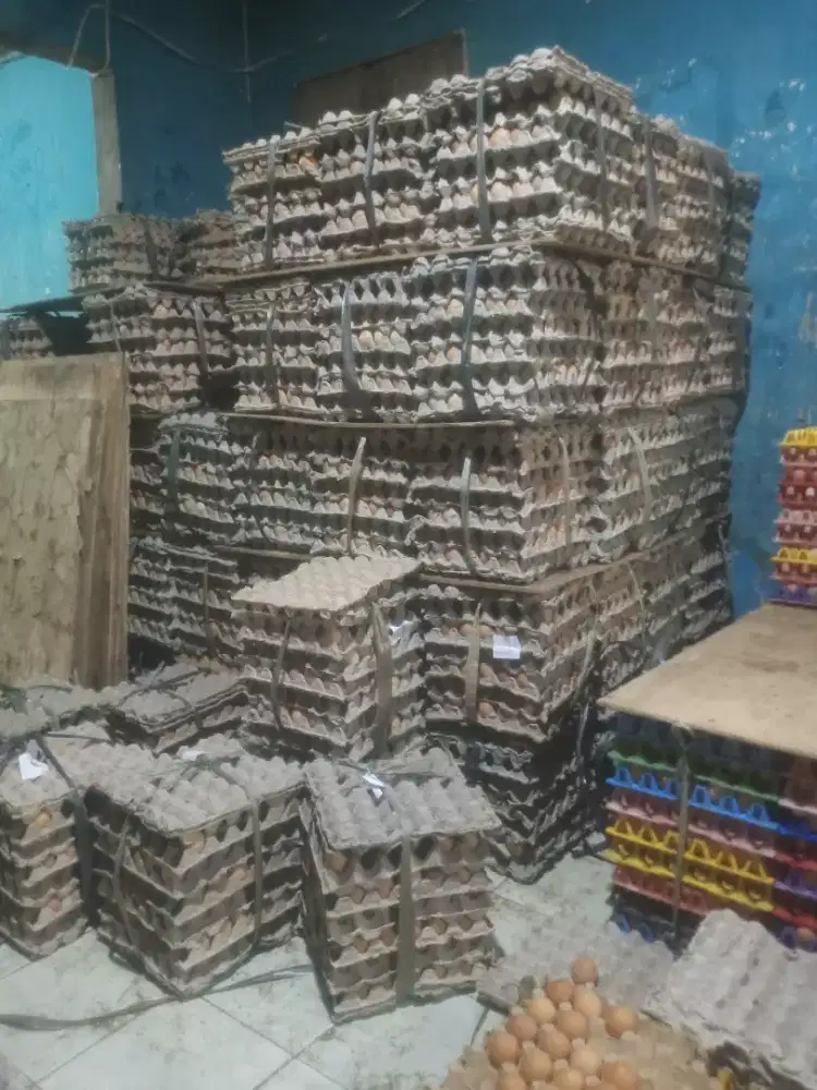 Lowongan kerja di toko telur