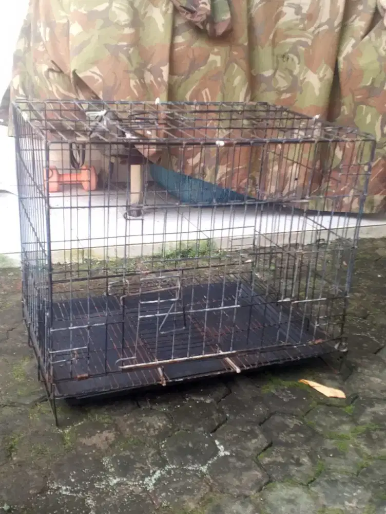 Kandang kucing besi dua tingkat dan standar.
