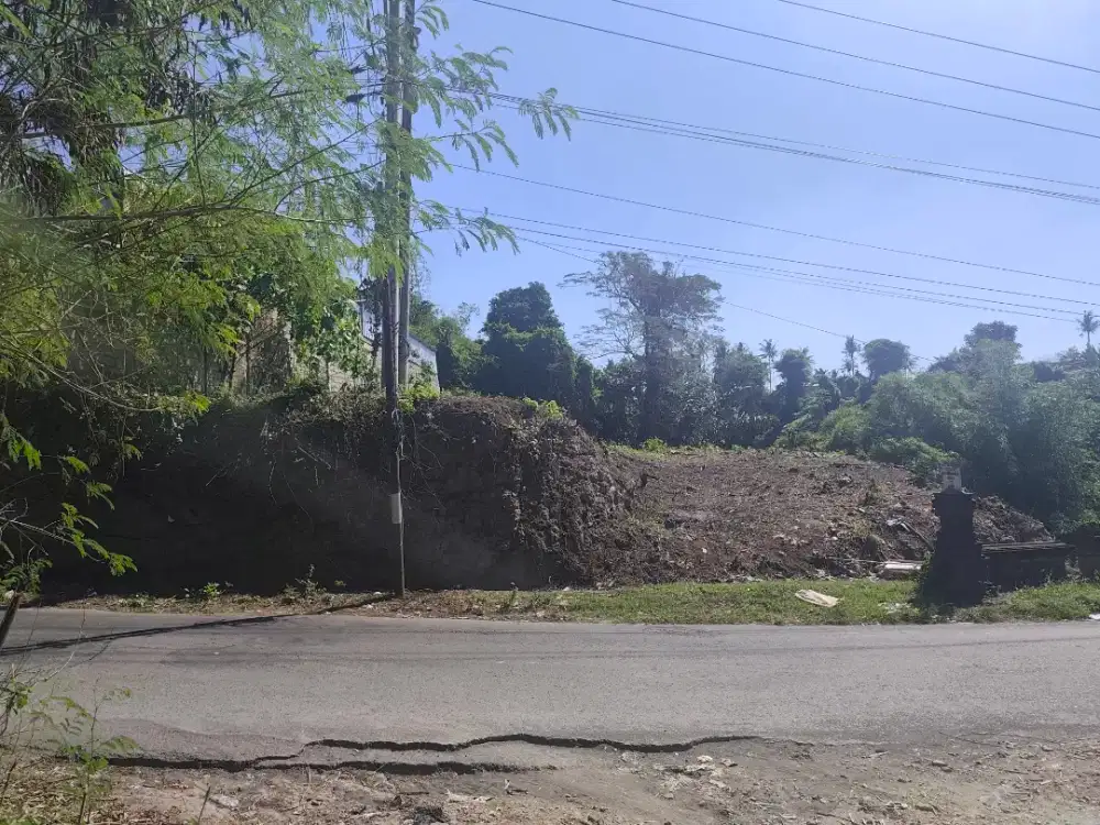 Di Jual Tanah Peguyangan