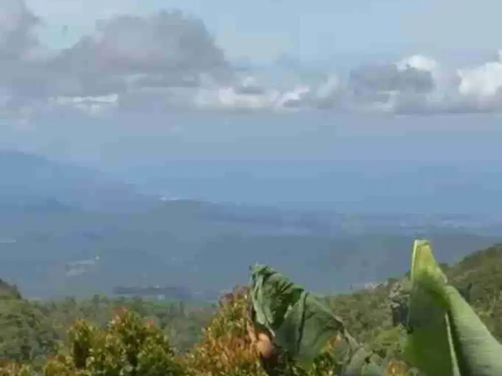 tanah view laut Munduk buleleng bali