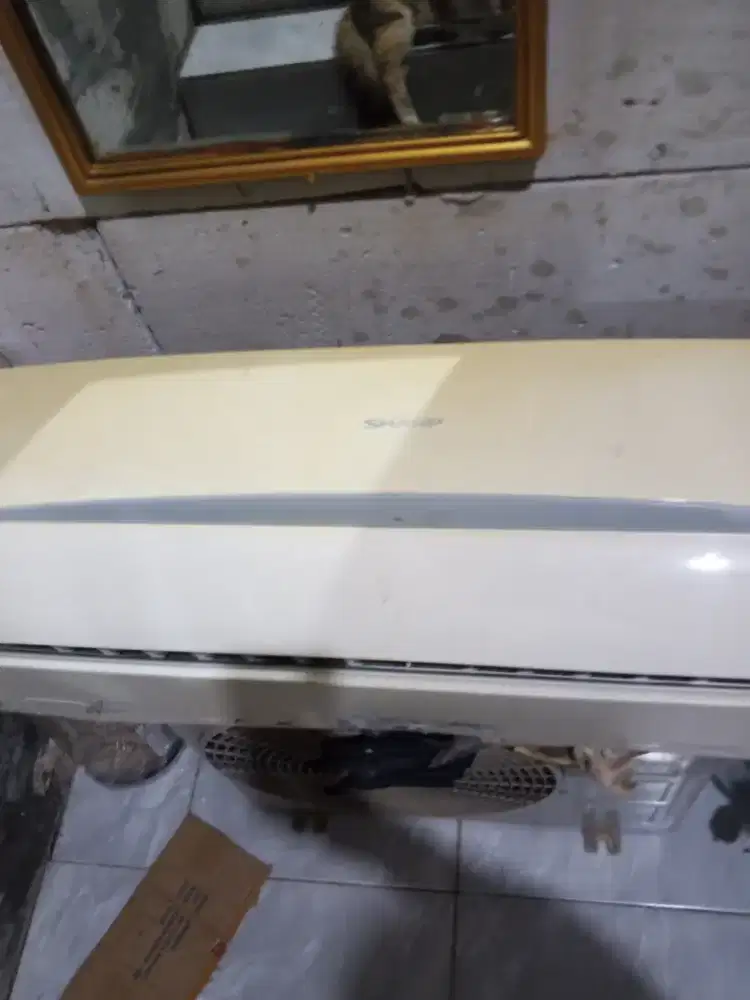 AC 1/2 PK Merk Sharp