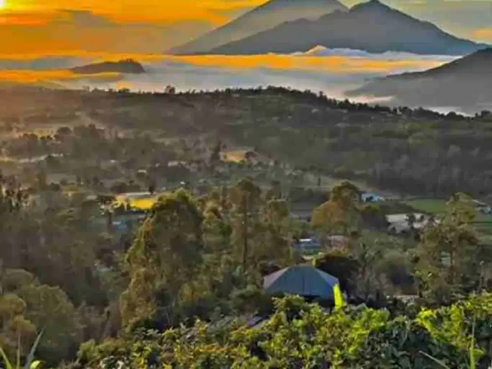 tanah gunung Batur kintamani bali