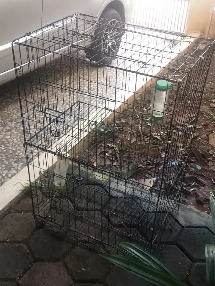 Kandang kucing besi 2 tingkat dan standar.