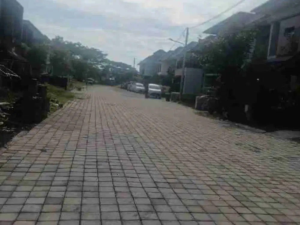 tanah badak agung Renon bali