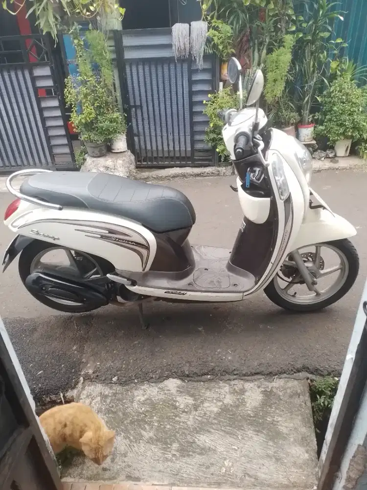 Honda Scoopy Tahun 2014 Pajak Baru