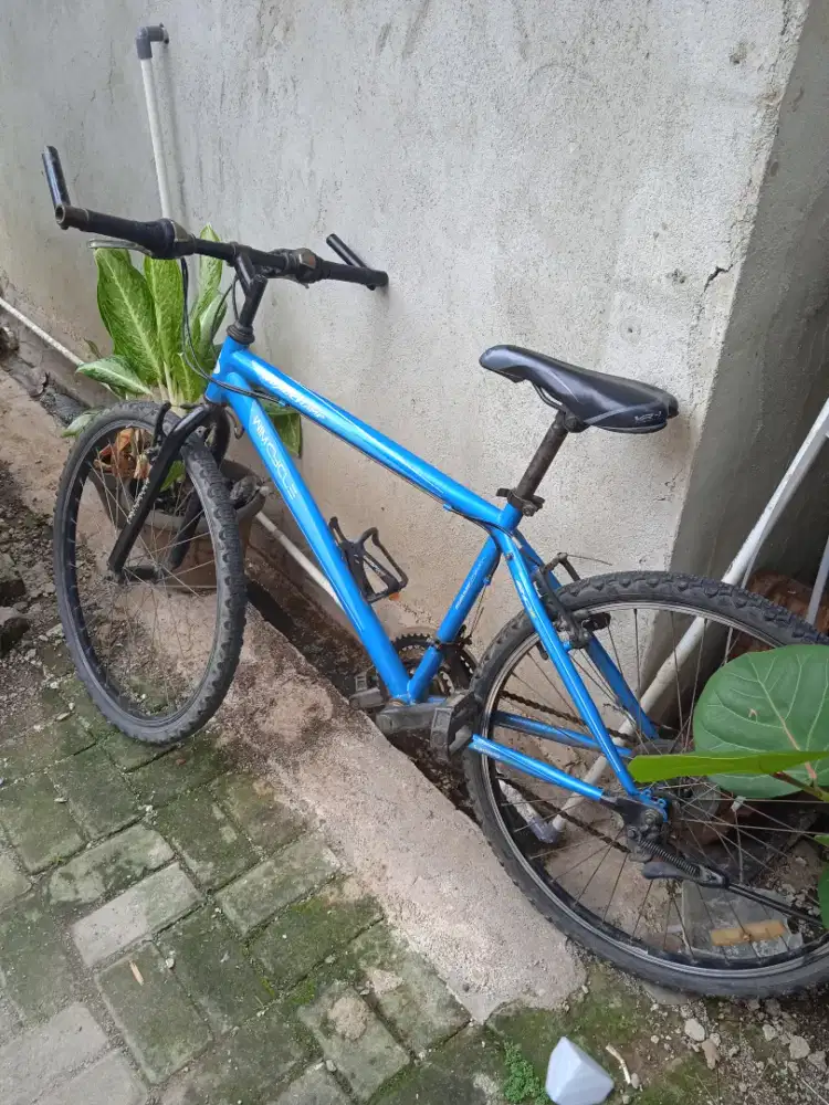 Wim cycle ukuran 26,