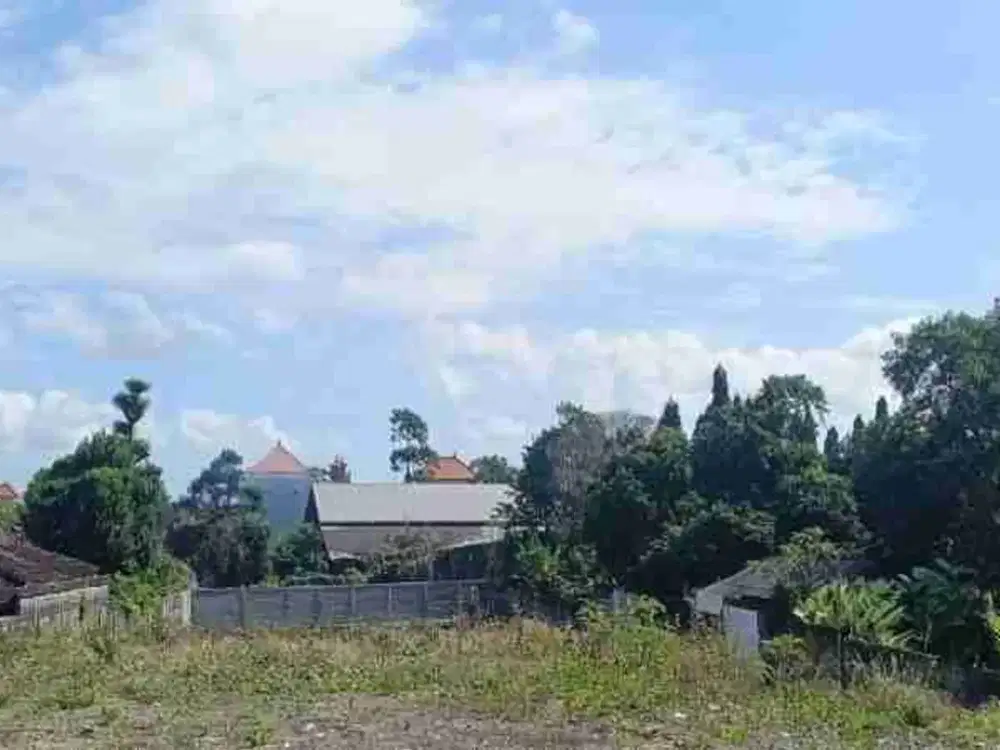 tanah Ngurah Rai Padang galak Sanur bali