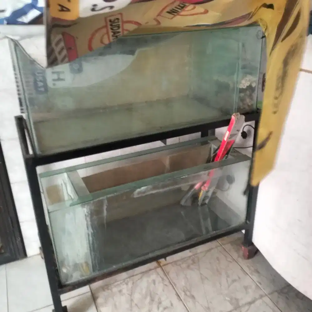 Aquarium bekas arwana