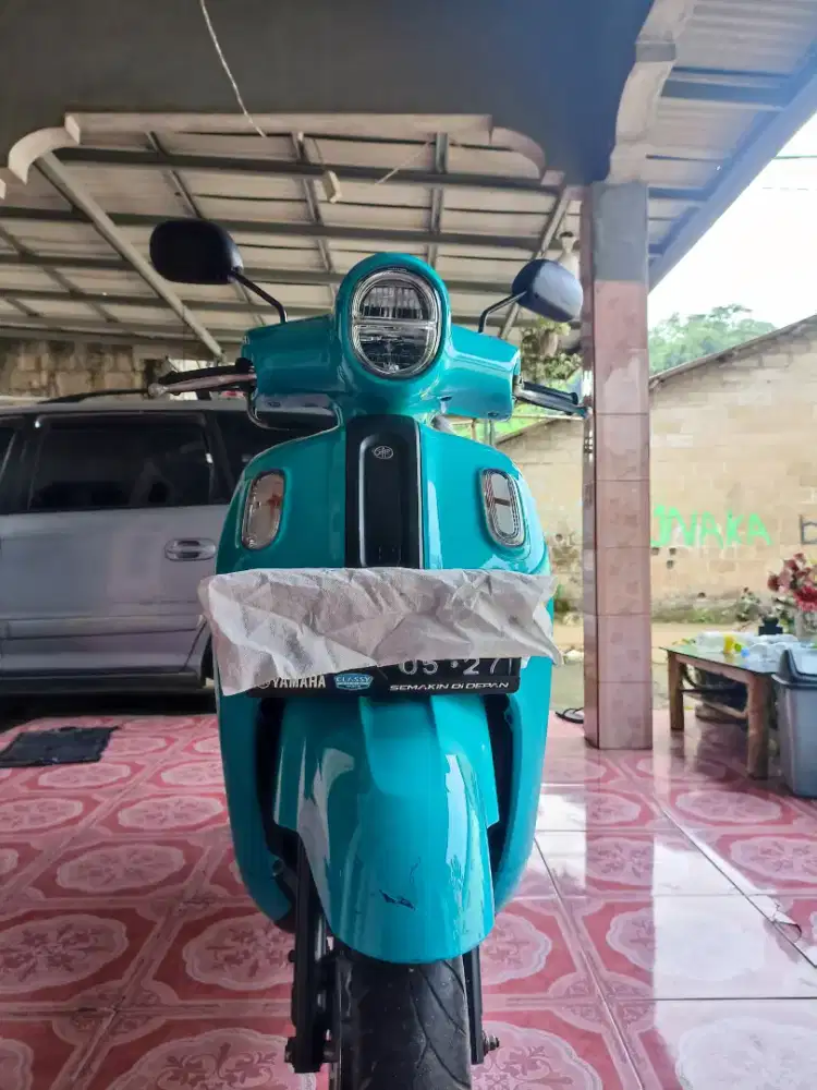 Jual bu fazio 2022