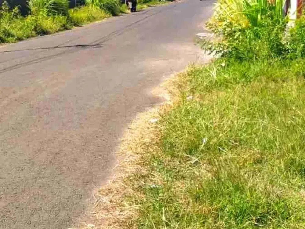 Dijual tanah zona kuning di Banyuwangi