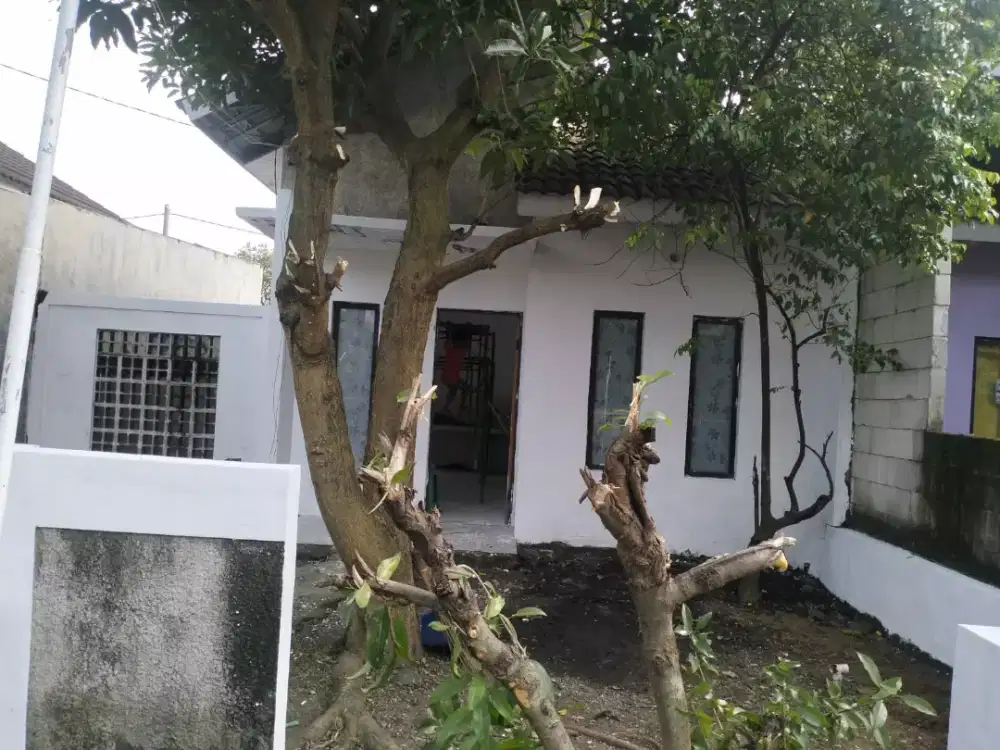 Disewakan Rumah di Wonoayu, Sidoarjo