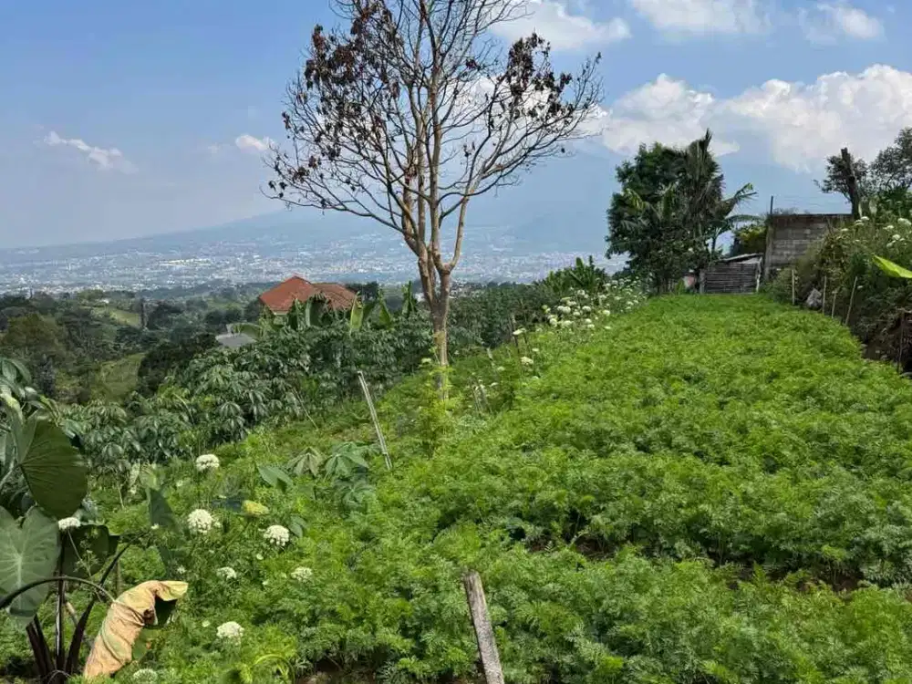 tanah villa infinity pool siap bangun view pegunungan di kota batu