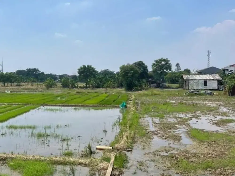 Tanah Luas SHM 4 Hektar Harapan Jaya – Cocok Untuk Investasi dan Pengembangan