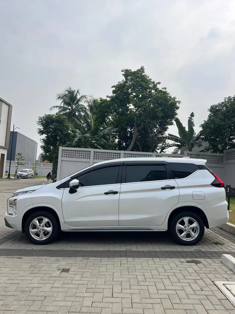 PROMO XPANDERS SPORT 2021 DP 20JT