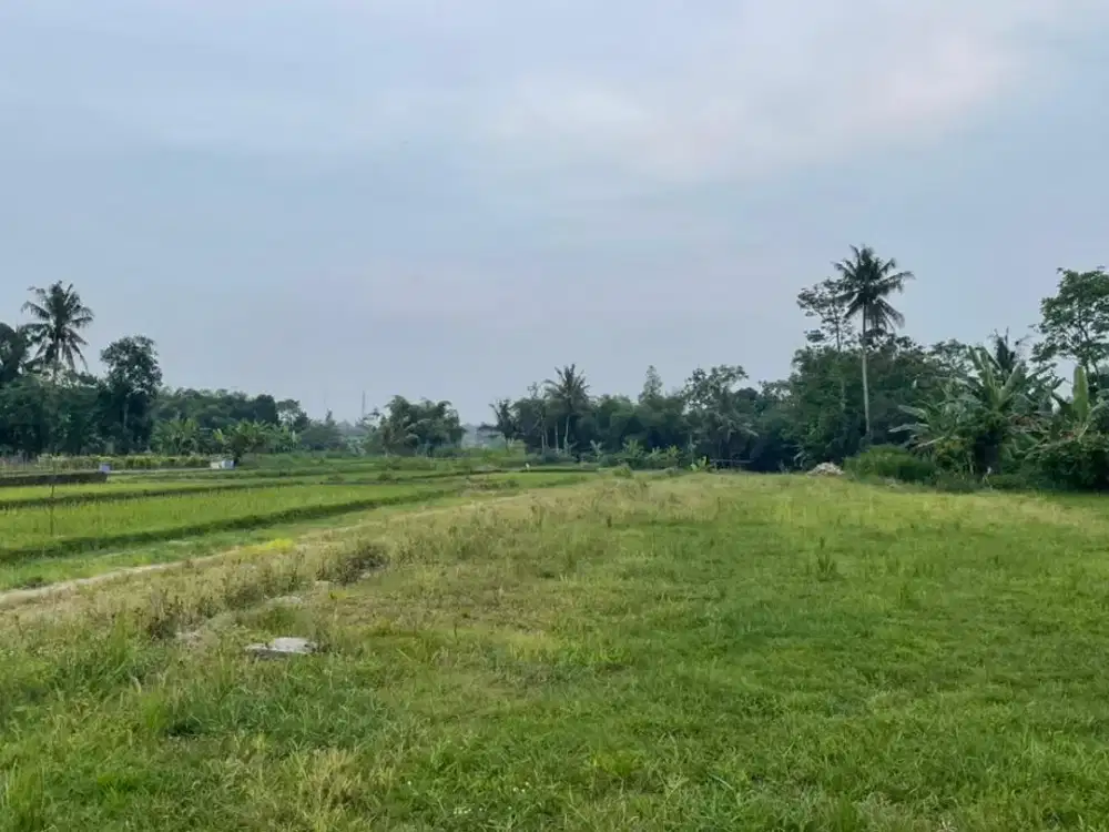 Tanah Sleman Jl Pandowoharjo Dekat Masjid Suciati Bisa Cicilan