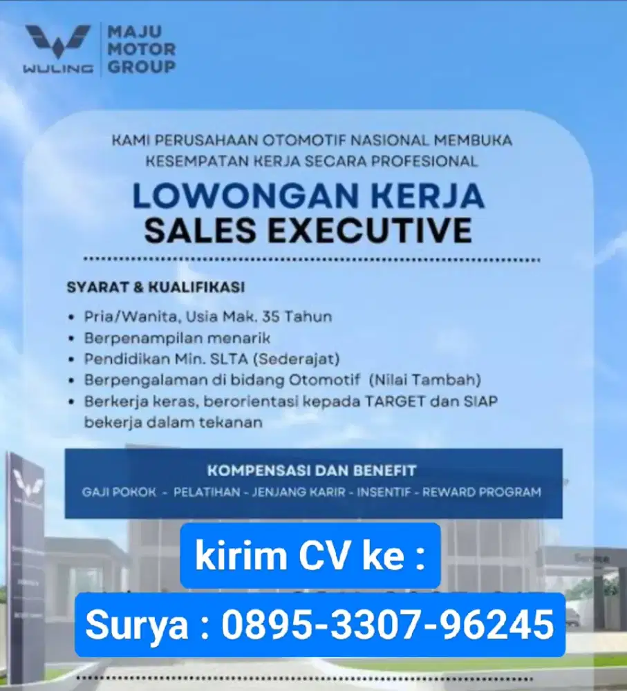 Sales consultant