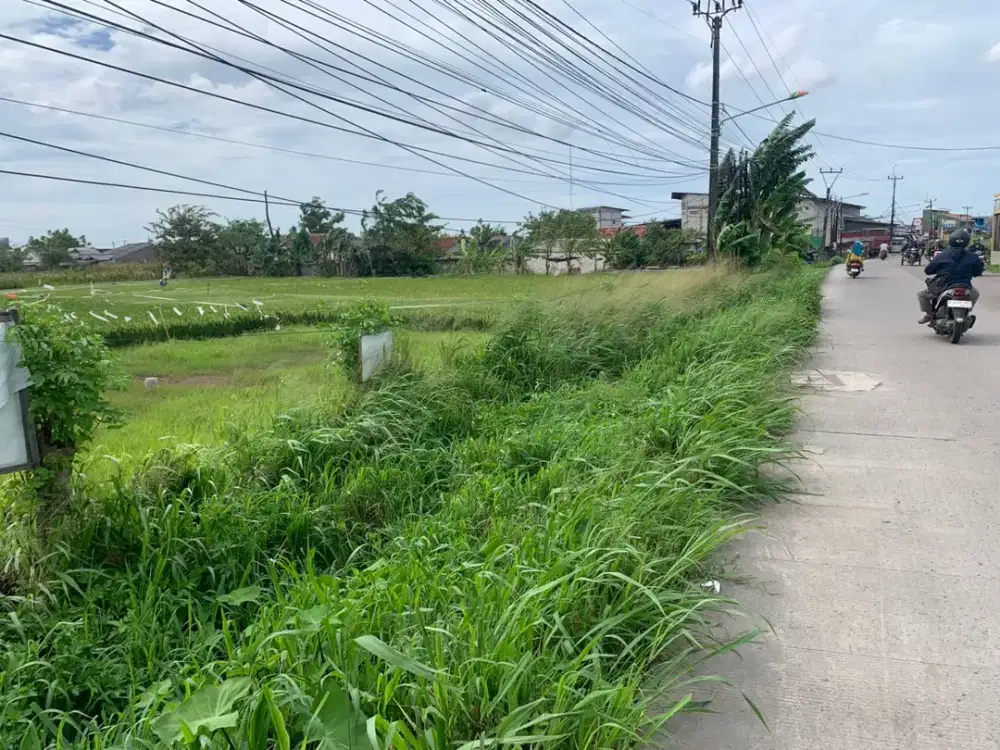 Tanah Luas dan Strategis Pinggir Jalan Raya Babelan Bekasi