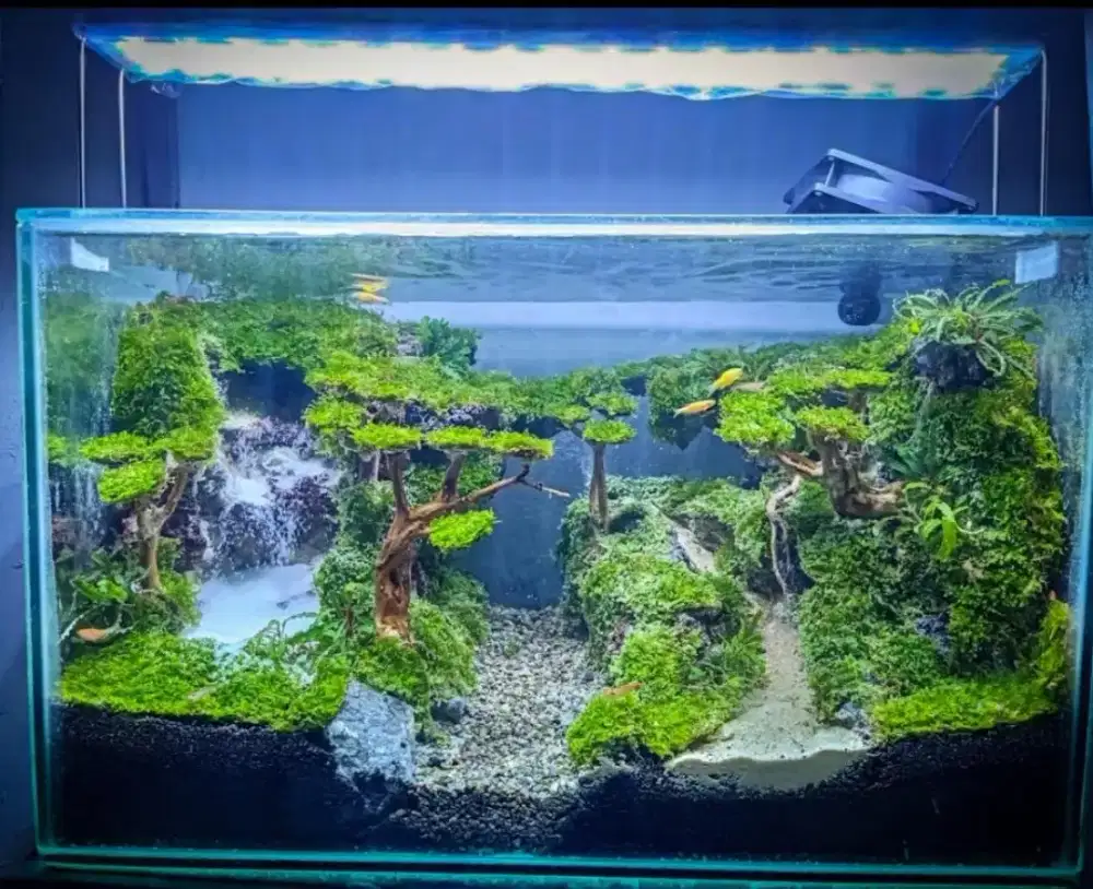 Aquarium aquascape tema air terjun waterfall