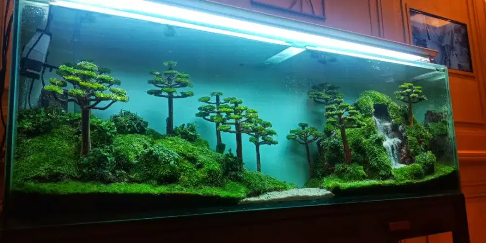 Aquarium aquascape akuarium tema natural hardscape iwagumi