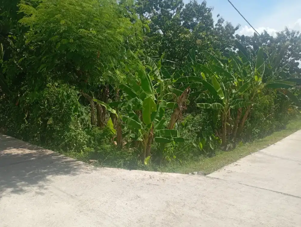 DIJUAL SEGERA TANAH PEKARANGAN DI SUKOHARJO