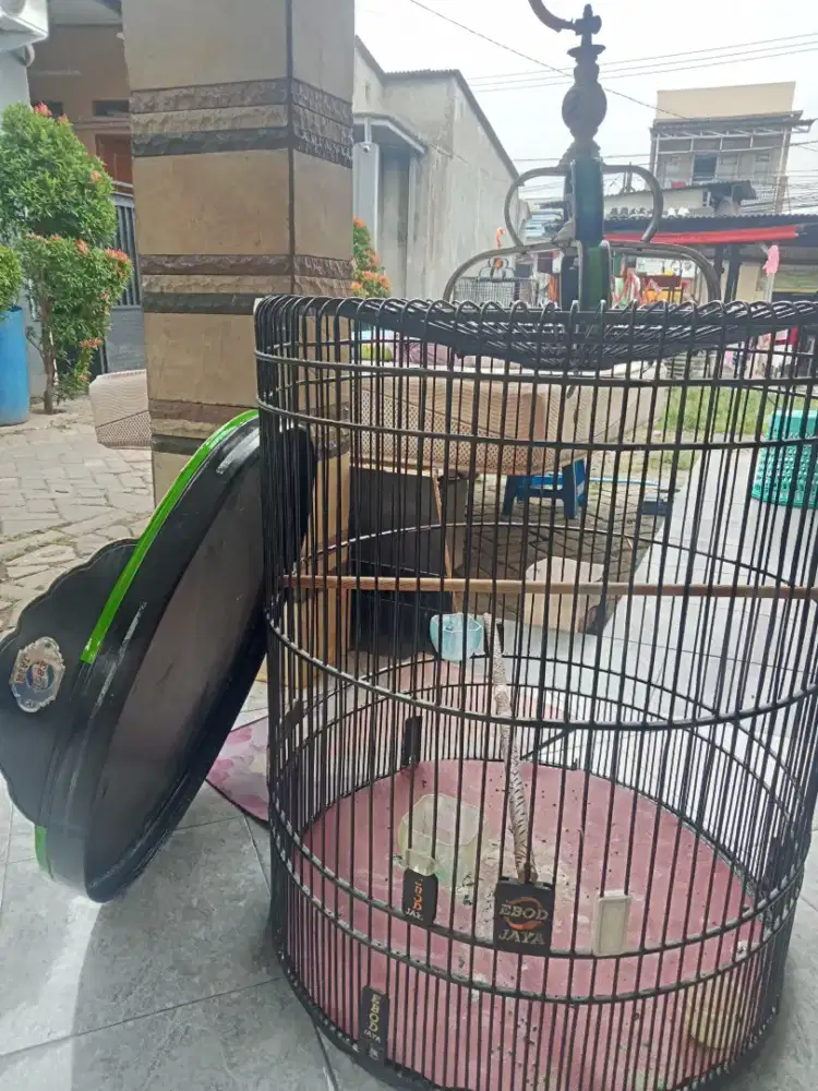 Kandang Murai merk Ebod