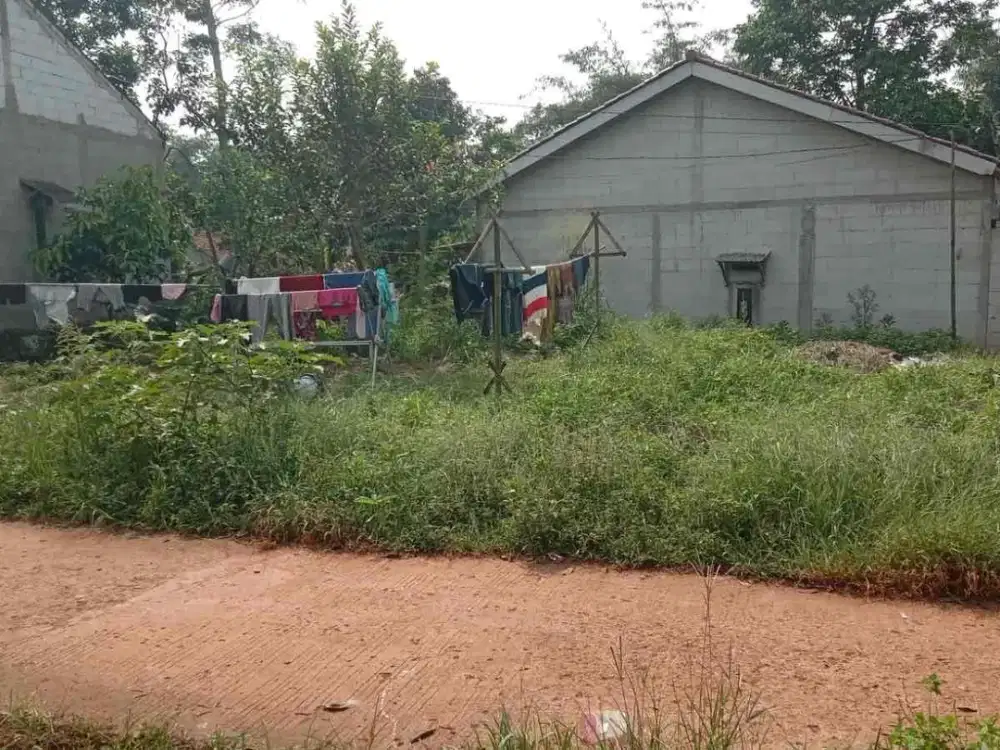TANAH KEBUN MURAH DI JALAN DESA LOKASI STRATEGIS DEKAT JALAN RAYA KECAMATAN CISEENG
