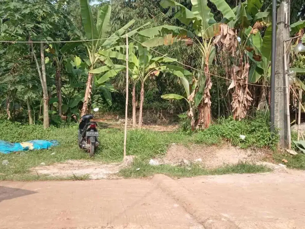 TANAH KEBUN MURAH DAN STRATEGIS DI JALAN DESA DI KECAMATAN CISEENG KABUPATEN BOGOR
