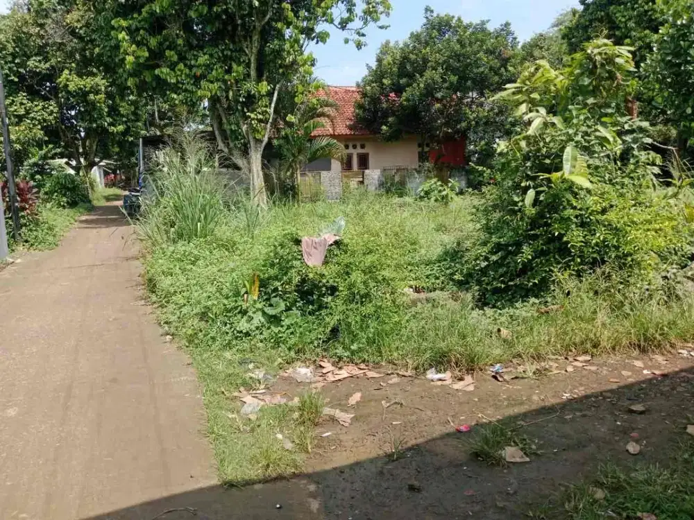 TANAH KEBUN MURAH DI JALAN DESA LETAK STRATEGIS DI DESA BOJONG SEMPU