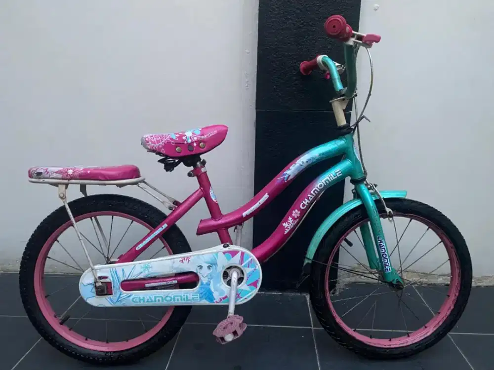 Sepeda anak 18 inchi