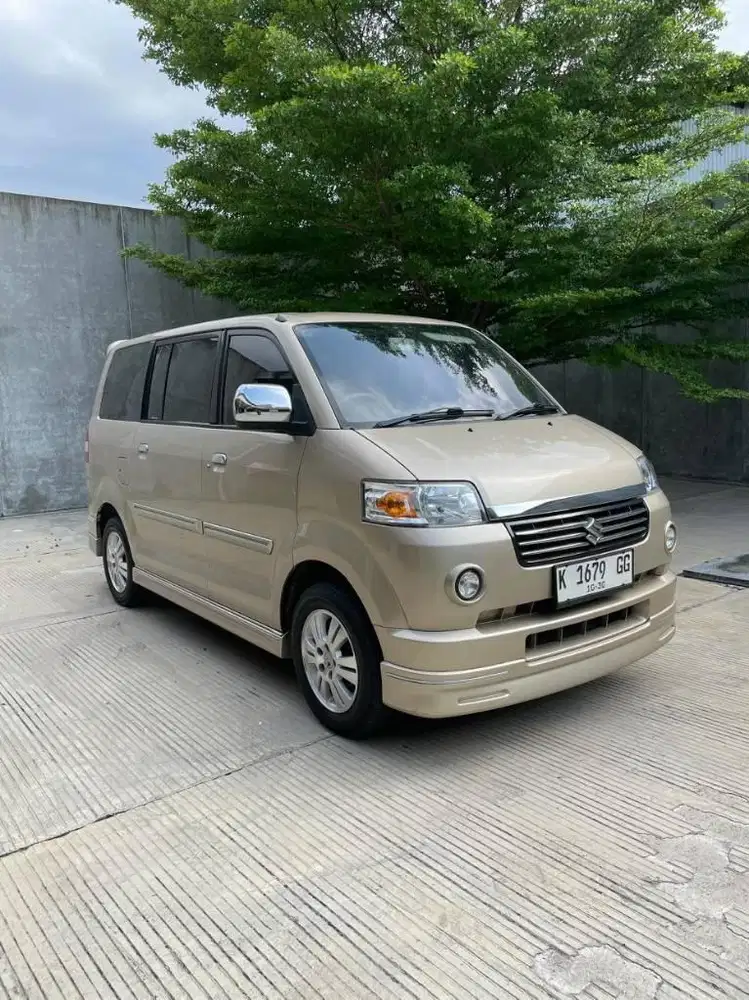 APV X MANUAL 2005