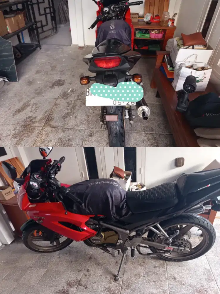 Ninja RR New 2013