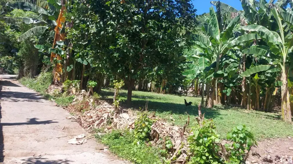 Dijual Tanah sekitar Pantai Tawun II